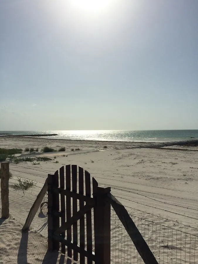 Rhincodon Typus Hotel Isla Holbox