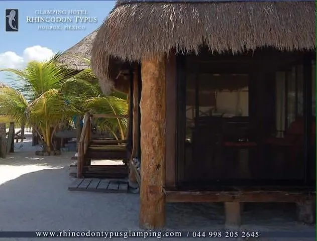 Rhincodon Typus Hotel Isla Holbox