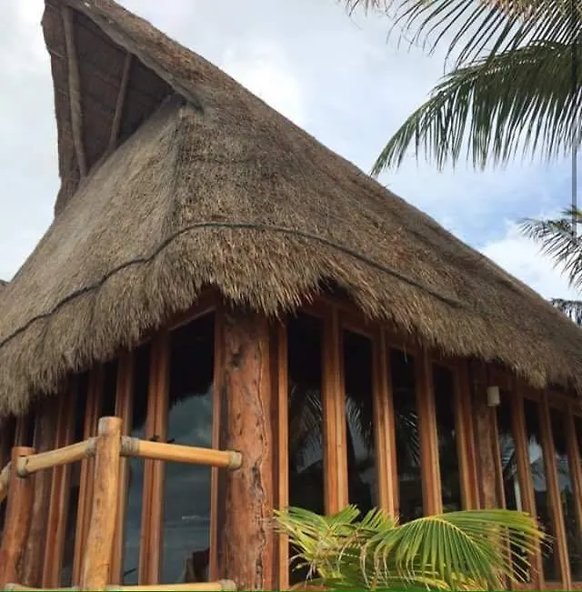 Rhincodon Typus Hotel Isla Holbox