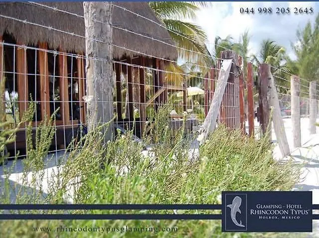 Rhincodon Typus Hotel Isla Holbox Mexico