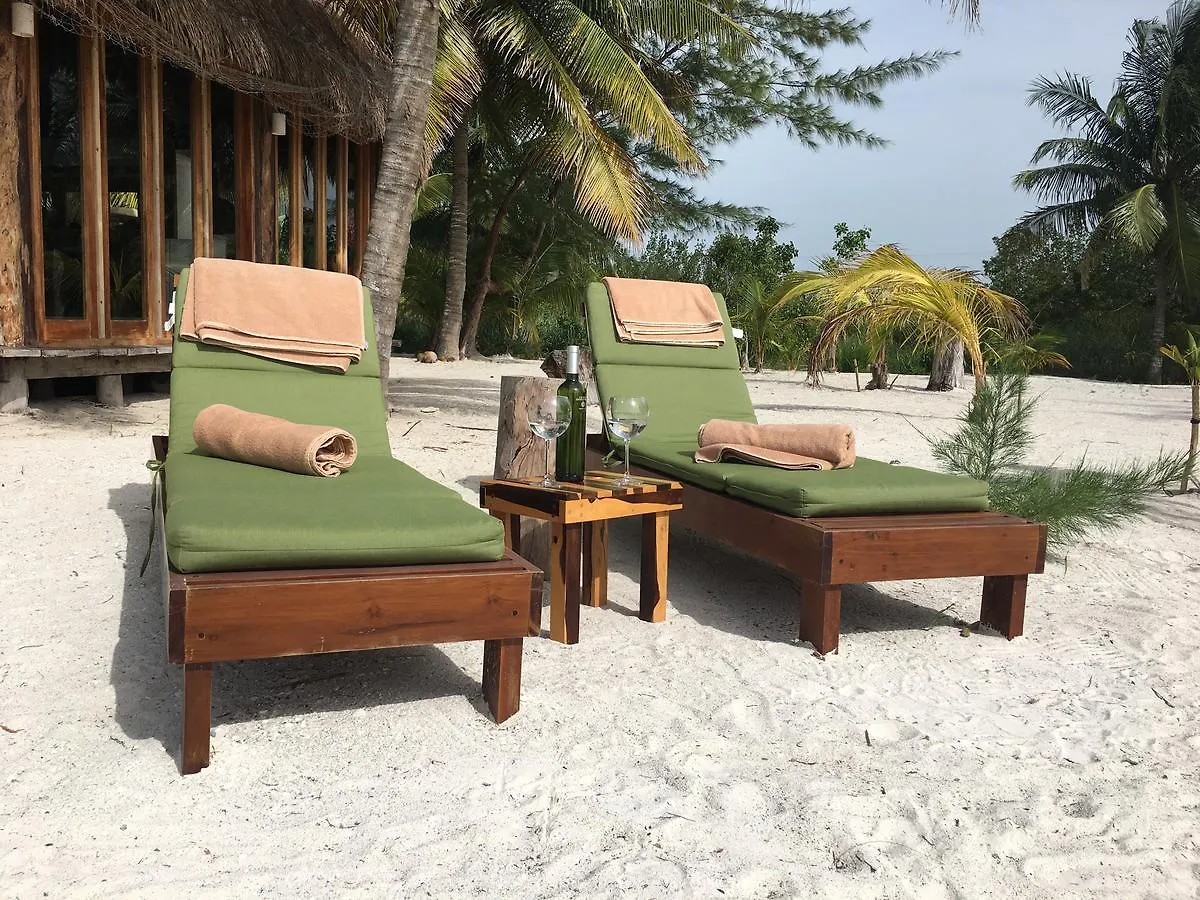****  Rhincodon Typus Hotel Isla Holbox Mexico