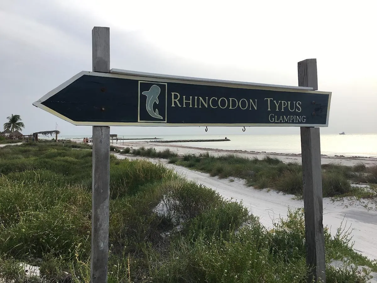 Rhincodon Typus location