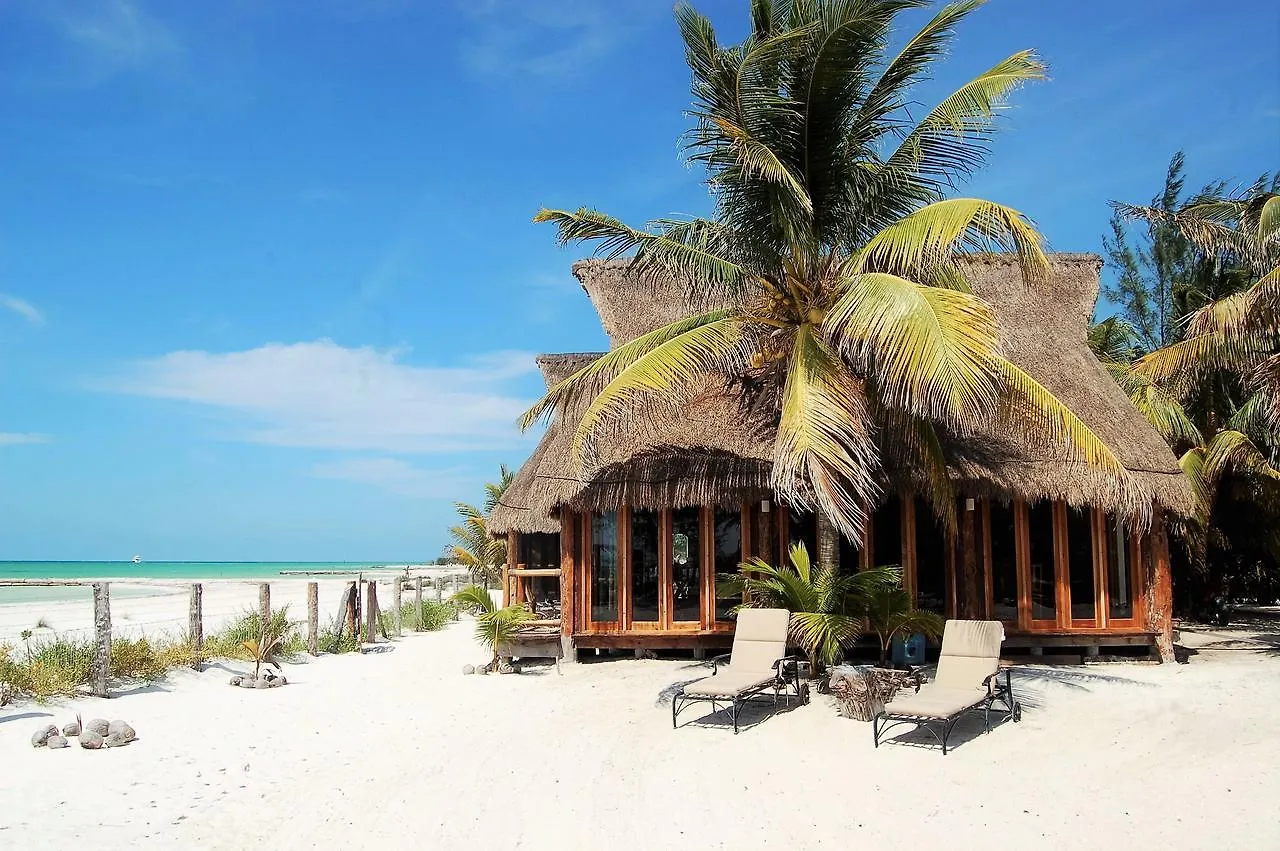 Rhincodon Typus Hotel Isla Holbox