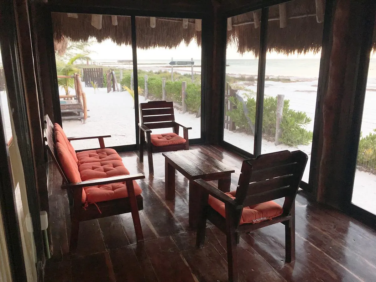 Rhincodon Typus Hotel Isla Holbox