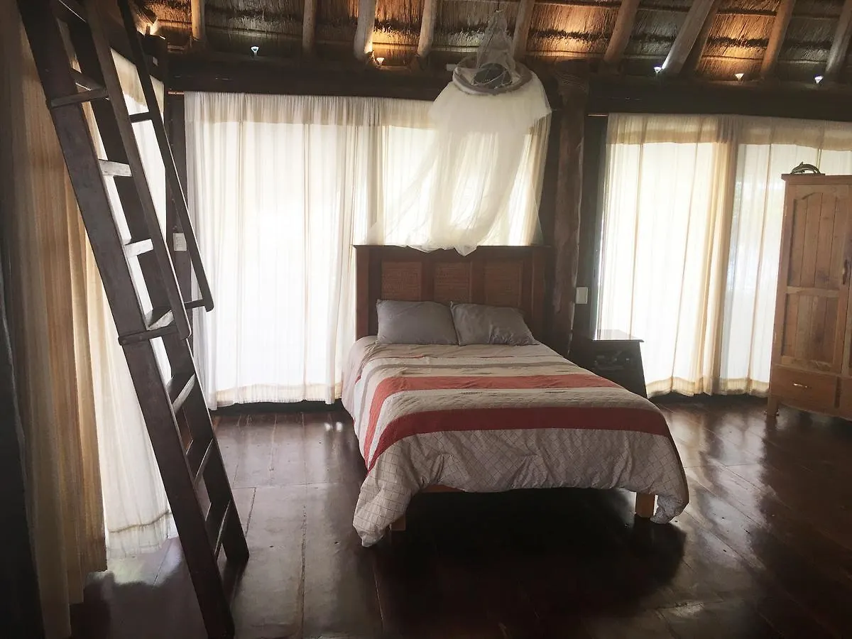 Rhincodon Typus Hotel Isla Holbox