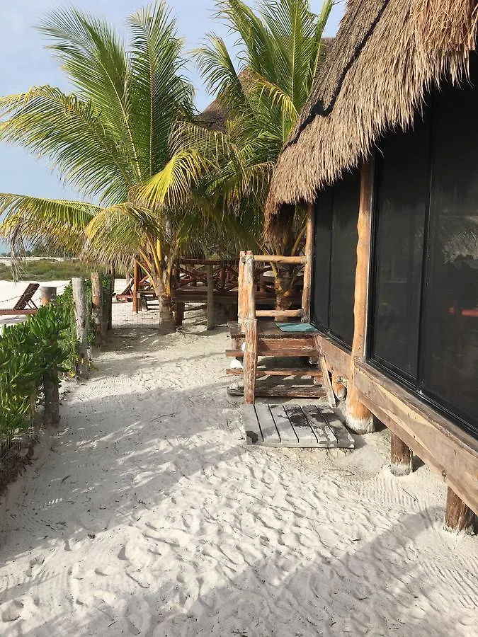 Rhincodon Typus Hotel Isla Holbox