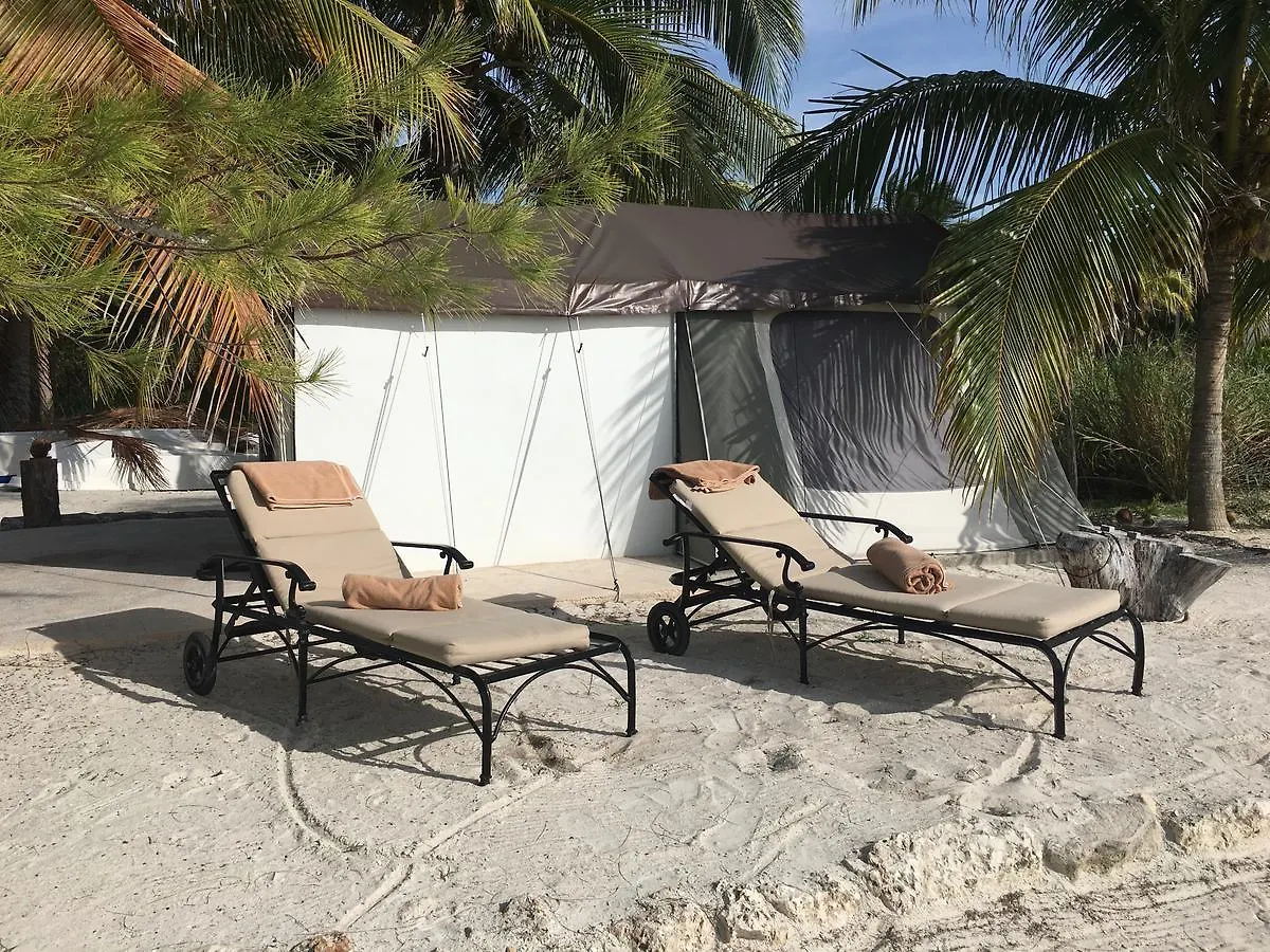 Rhincodon Typus Hotel Isla Holbox 4*,