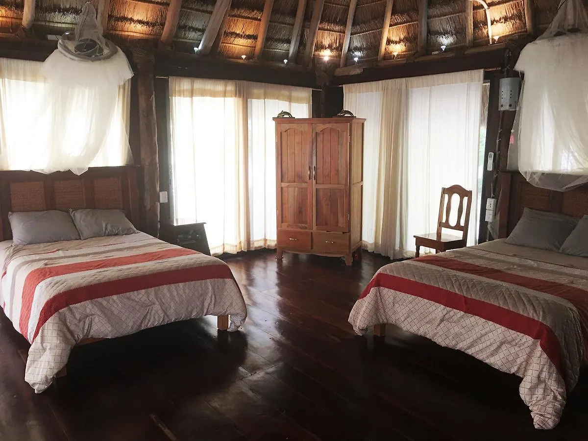 Rhincodon Typus Hotel Isla Holbox