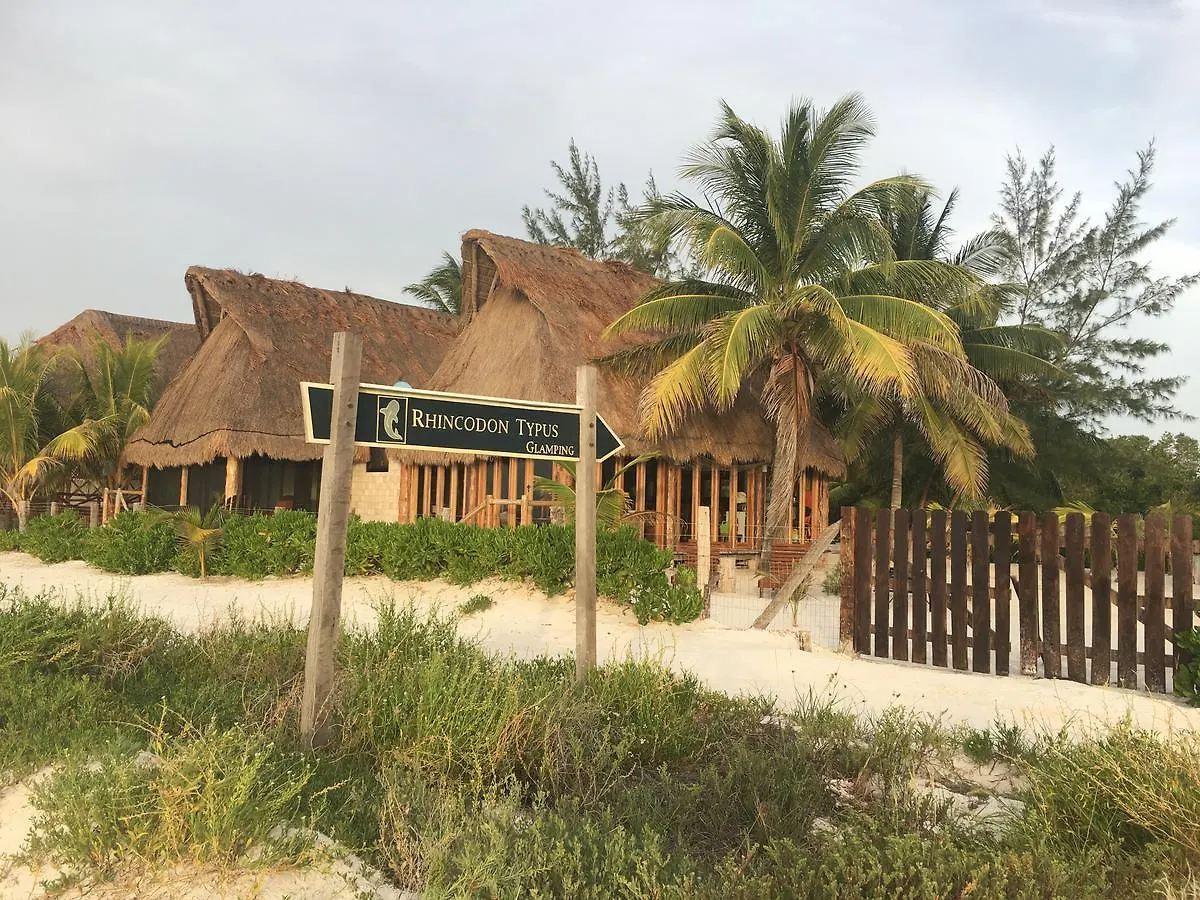 Rhincodon Typus Hotel Isla Holbox