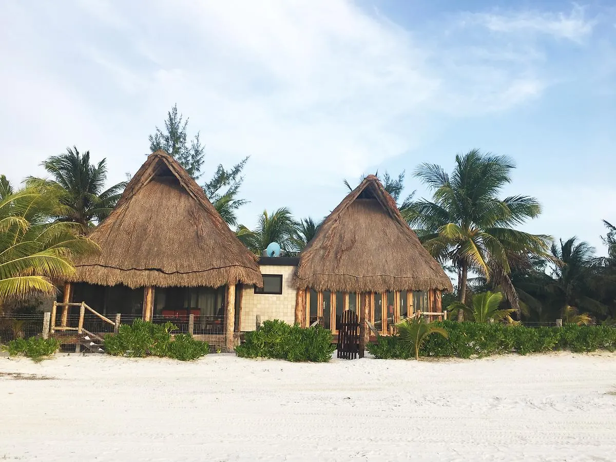 Rhincodon Typus Hotel Isla Holbox 4*,  Mexico