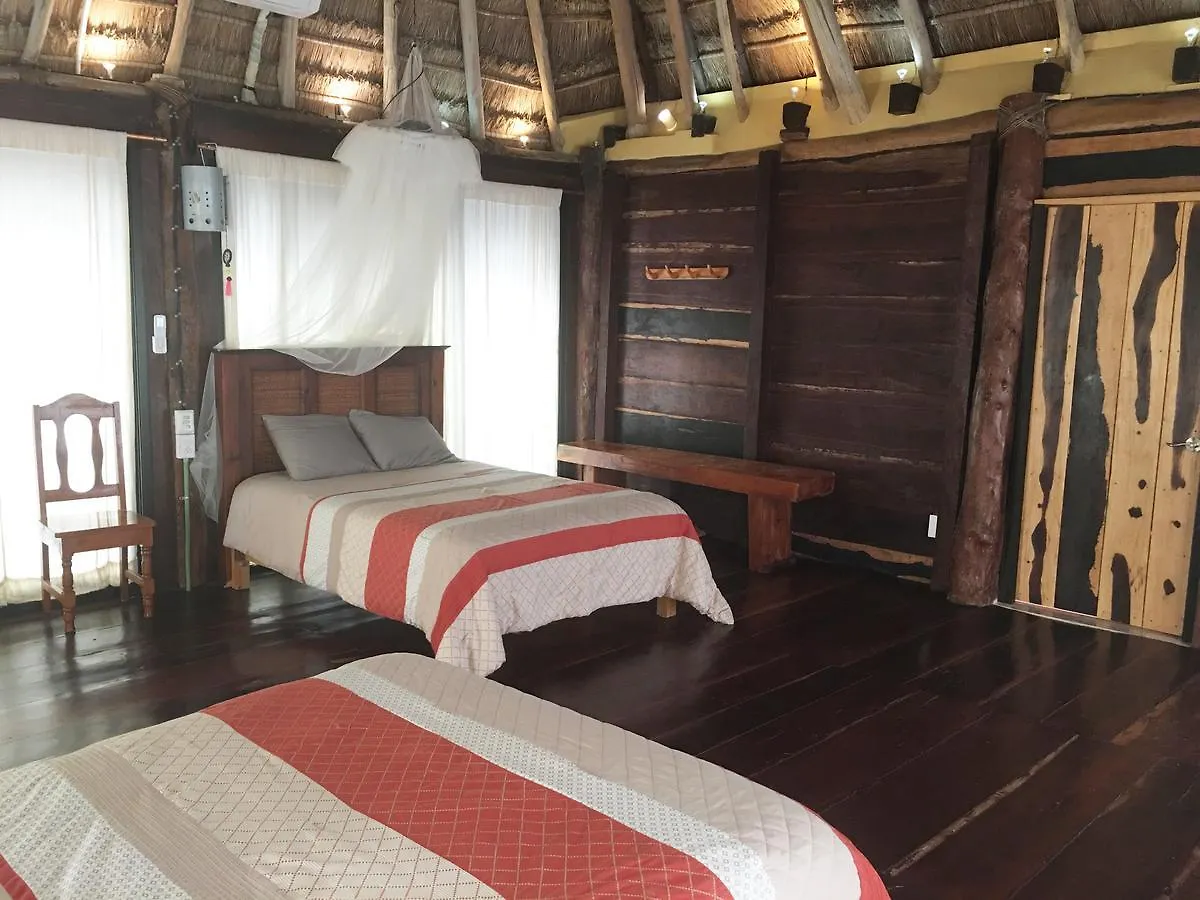 Rhincodon Typus Hotel Isla Holbox