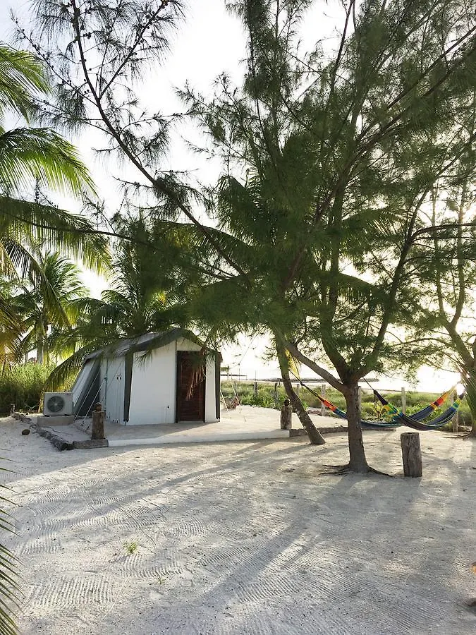 Rhincodon Typus Hotel Isla Holbox