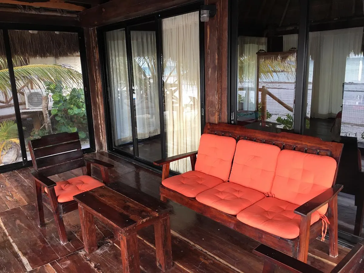 Rhincodon Typus Hotel Isla Holbox
