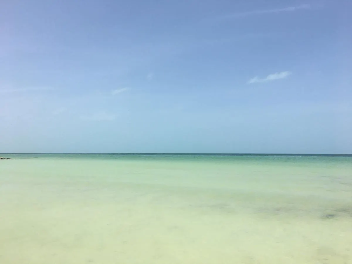 Rhincodon Typus Hotel Isla Holbox