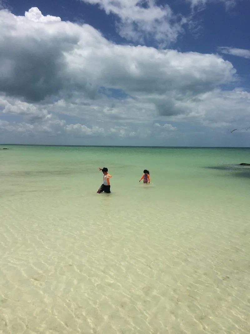 Rhincodon Typus Hotel Isla Holbox