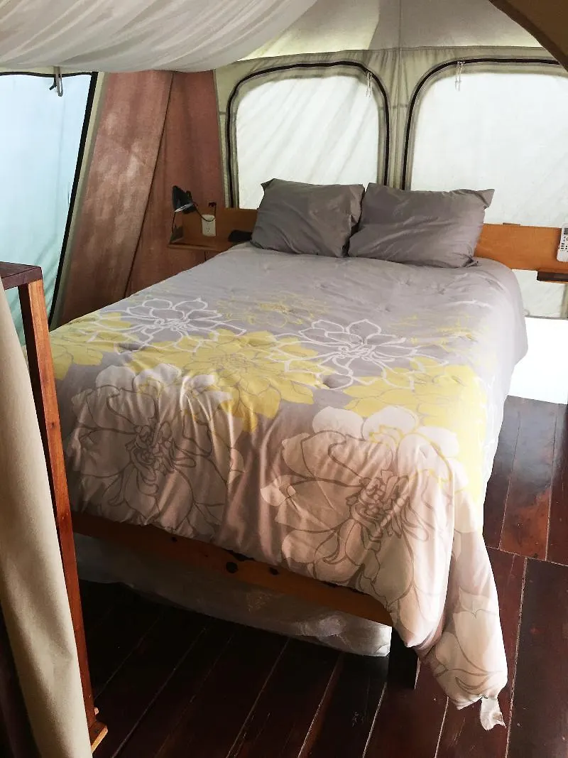 Rhincodon Typus Hotel Isla Holbox 4*,