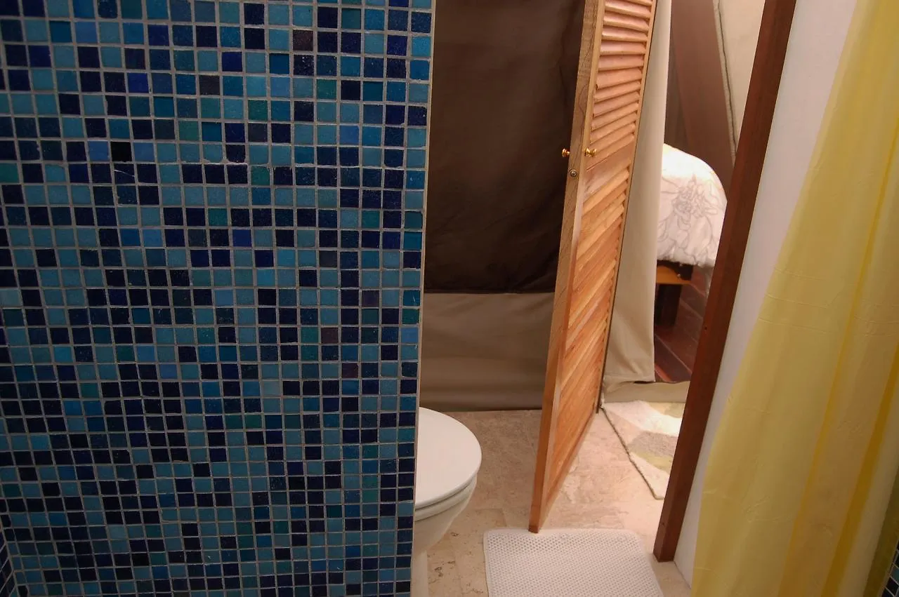 Hotel Rhincodon Typus Isla Holbox