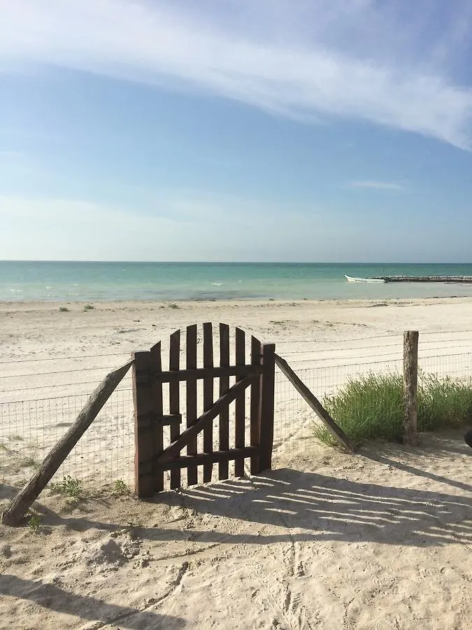 Hotel Rhincodon Typus Isla Holbox