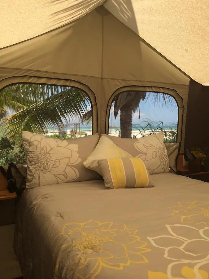 Hotel Rhincodon Typus Isla Holbox Mexiko