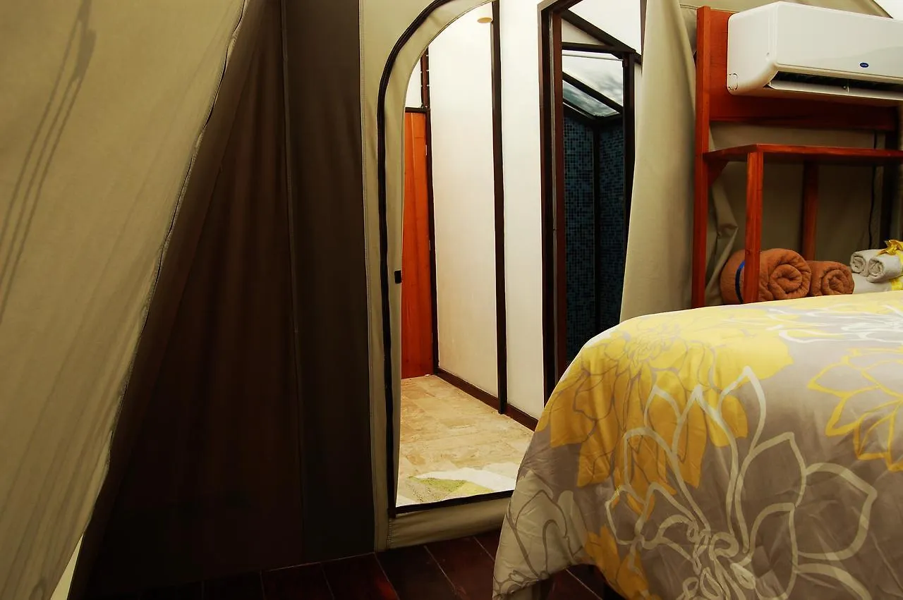 Hotel Rhincodon Typus Isla Holbox