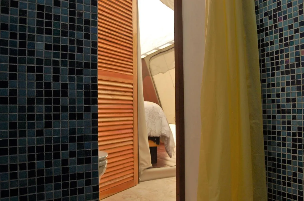 Hotel Rhincodon Typus Isla Holbox