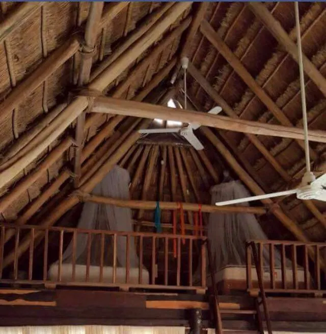 Hotel Rhincodon Typus Isla Holbox 4*,
