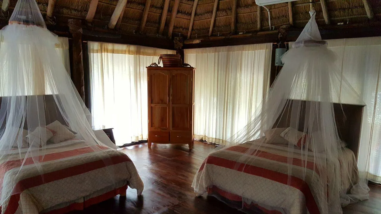 Hotel Rhincodon Typus Isla Holbox Mexiko