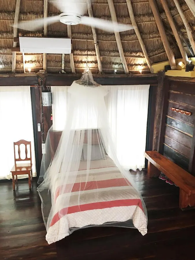 Hotel Rhincodon Typus Isla Holbox Mexiko