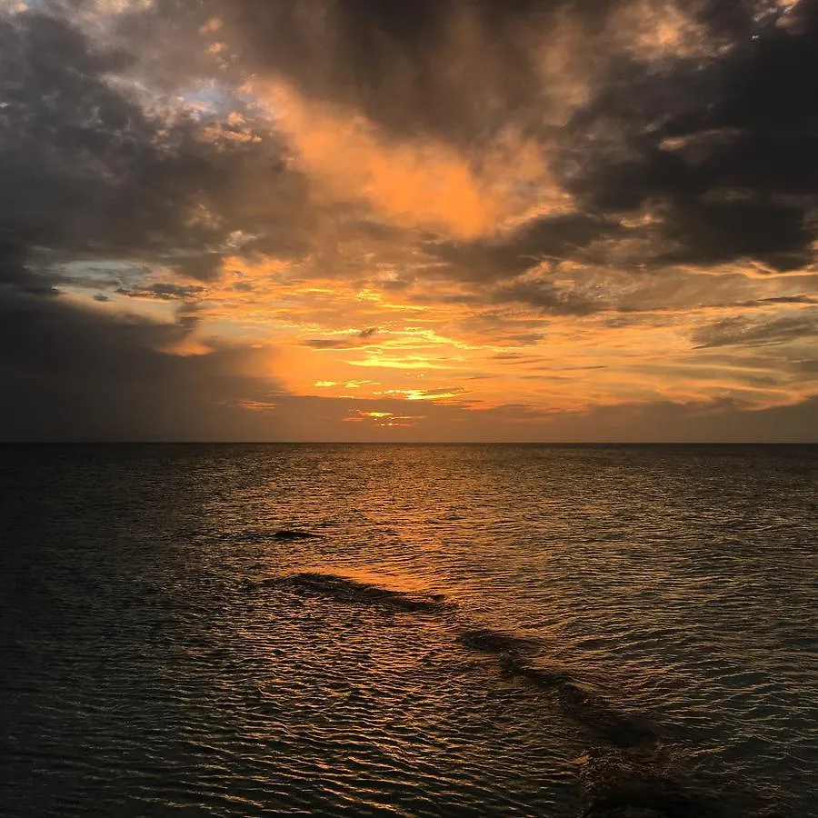 Hotel Rhincodon Typus Isla Holbox