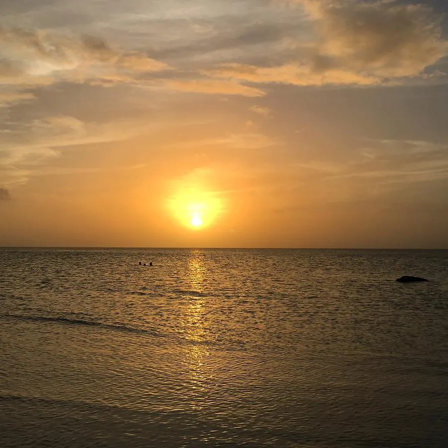 Hotel Rhincodon Typus Isla Holbox 4*,