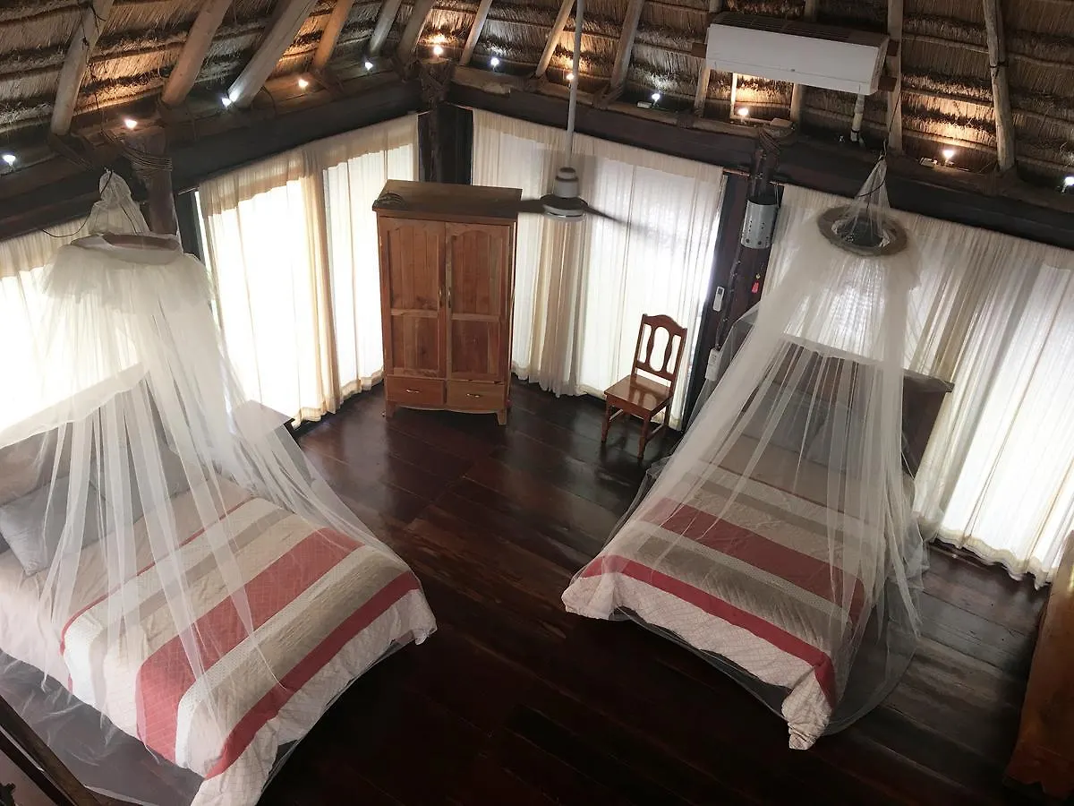Hotel Rhincodon Typus Isla Holbox