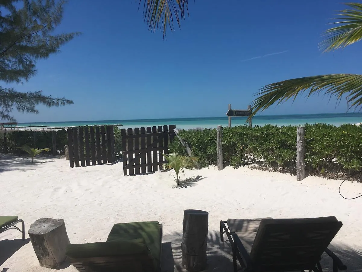 Hotel Rhincodon Typus Isla Holbox