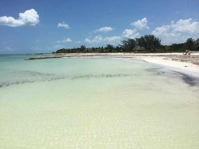 Hotel Rhincodon Typus Isla Holbox 4*,  Mexiko
